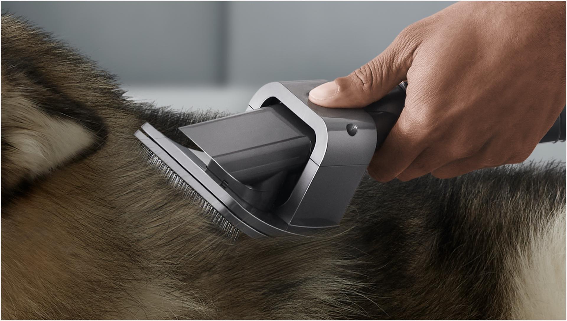 M2 pet grooming tool imagery 01 Bộ Dụng Cụ Chải Lông Thú Cưng Dyson Groom Tool
