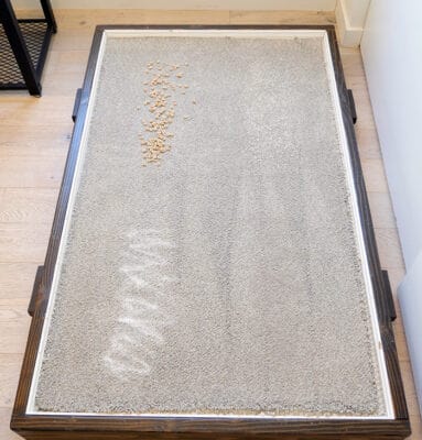 dysong gen5 detect before high pile cleaning test 383x400 1