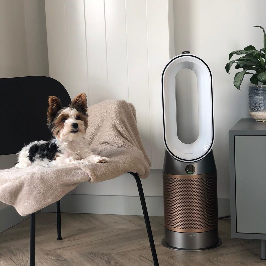 233bea99 20d3 49fe 99f2 70da50a8758f result