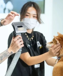 Bộ làm sạch cho thú cưng Dyson Pet Grooming Kit chính hãng Long Thịnh Tech Dyson Bộ làm sạch cho thú cưng Dyson Pet Grooming Kit chính hãng Long Thịnh Tech Dyson