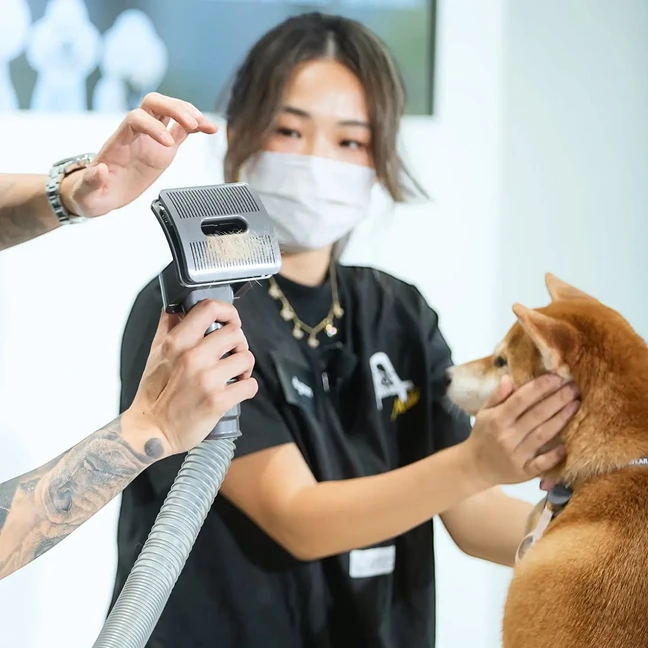 vn-11134207-7ras8-md4h8e7lu4ik8e-Photoroom Bộ làm sạch cho thú cưng Dyson Pet Grooming Kit chính hãng Long Thịnh Tech Dyson