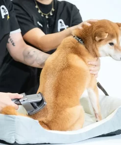Bộ làm sạch cho thú cưng Dyson Pet Grooming Kit chính hãng Long Thịnh Tech Dyson Bộ làm sạch cho thú cưng Dyson Pet Grooming Kit chính hãng Long Thịnh Tech Dyson