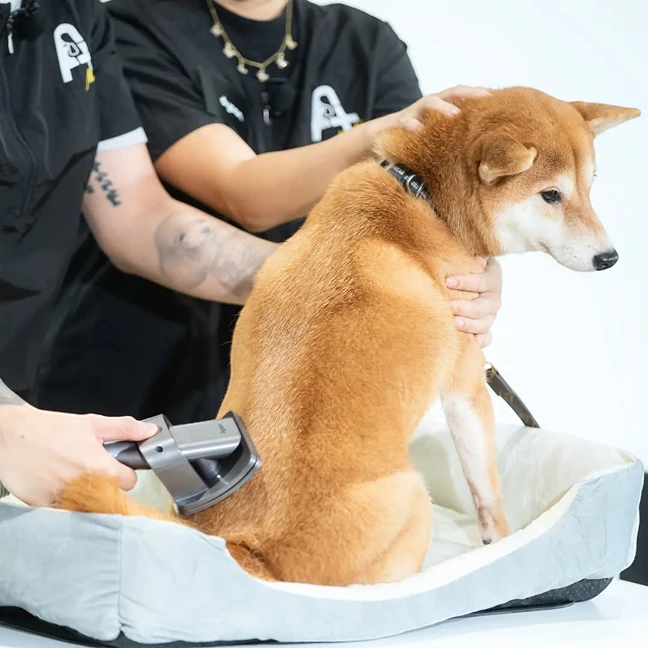 vn-11134207-7ras8-md4h8fv9g8d8b4-Photoroom Bộ làm sạch cho thú cưng Dyson Pet Grooming Kit chính hãng Long Thịnh Tech Dyson